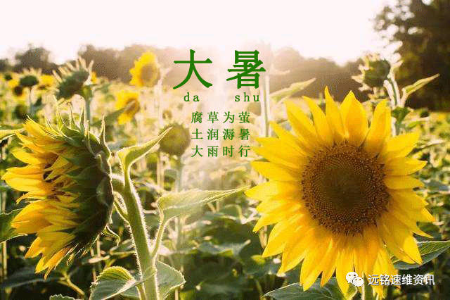 1595923826798454.png